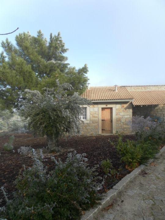 Montanhas Do Douro Villa Paredes da Beira ภายนอก รูปภาพ